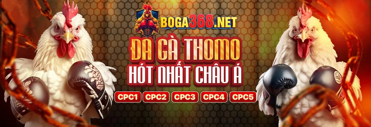 Đá Gà Trực Tuyến Kim66 Hấp Dẫn